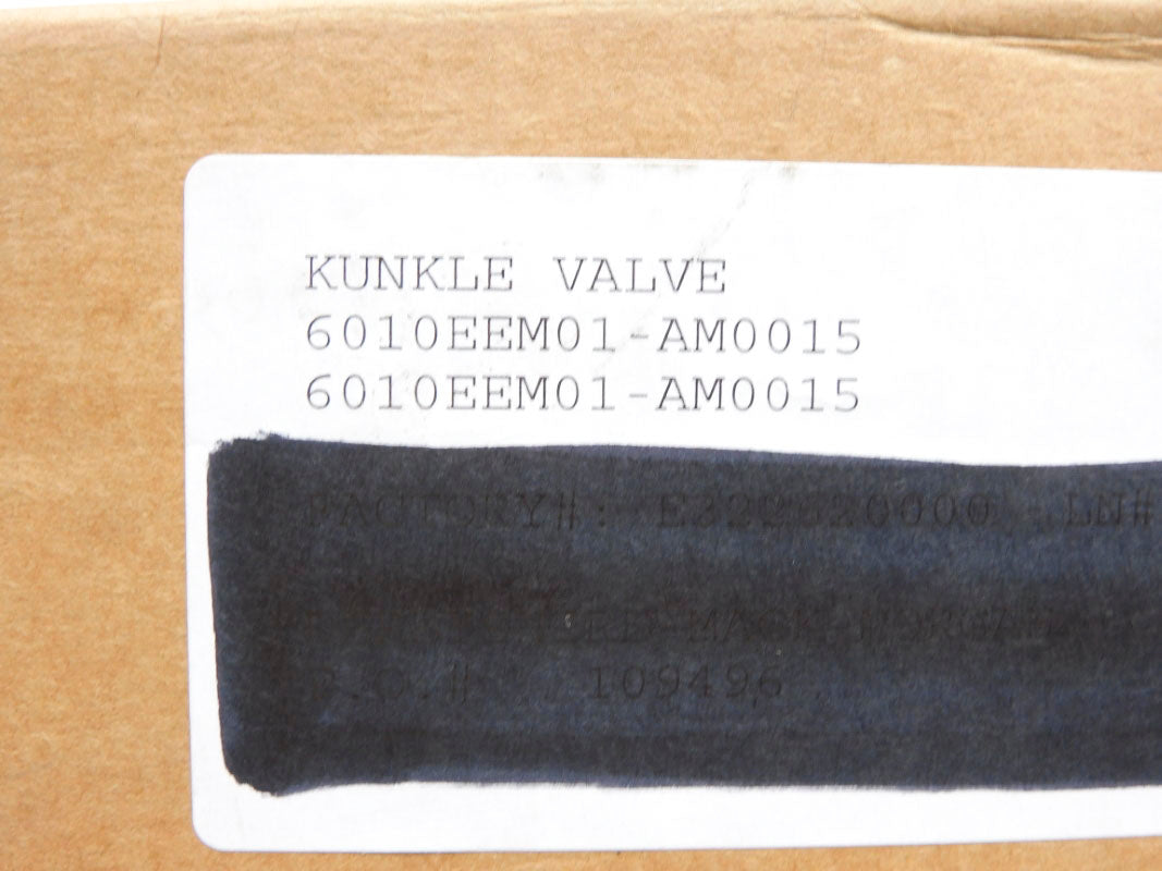 KUNKLE 6010EEM01-AM0015 15PSI 1" NSMP