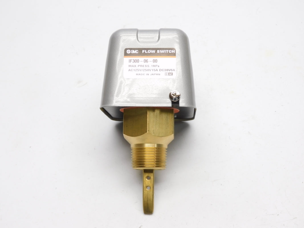 SMC IF300-06-00 125/250VAC 15A NSMP
