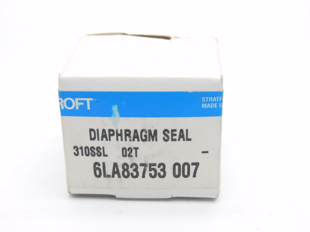 ASHCROFT 310SSL02T NSMP