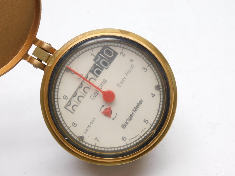 BADGER METER 31612-003 NSNP
