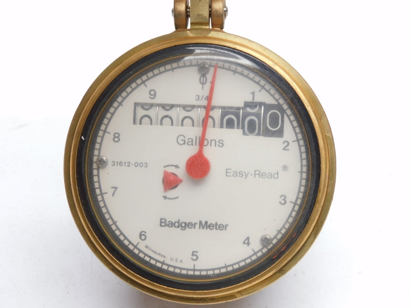 BADGER METER 31612-003 NSNP