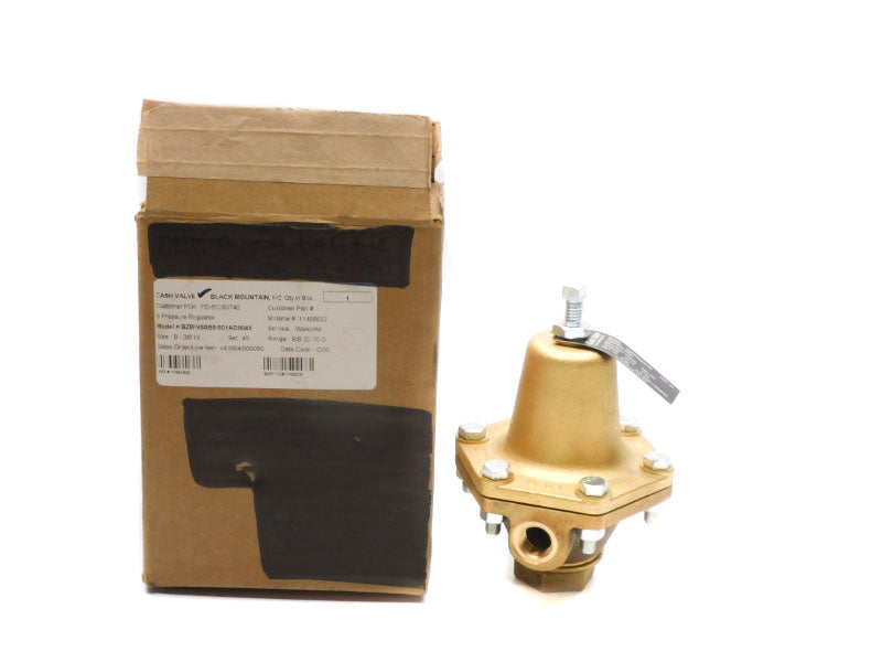 CASH VALVE BZBWSSBBS01AD0045 20-70PSI 3/8" NSMP