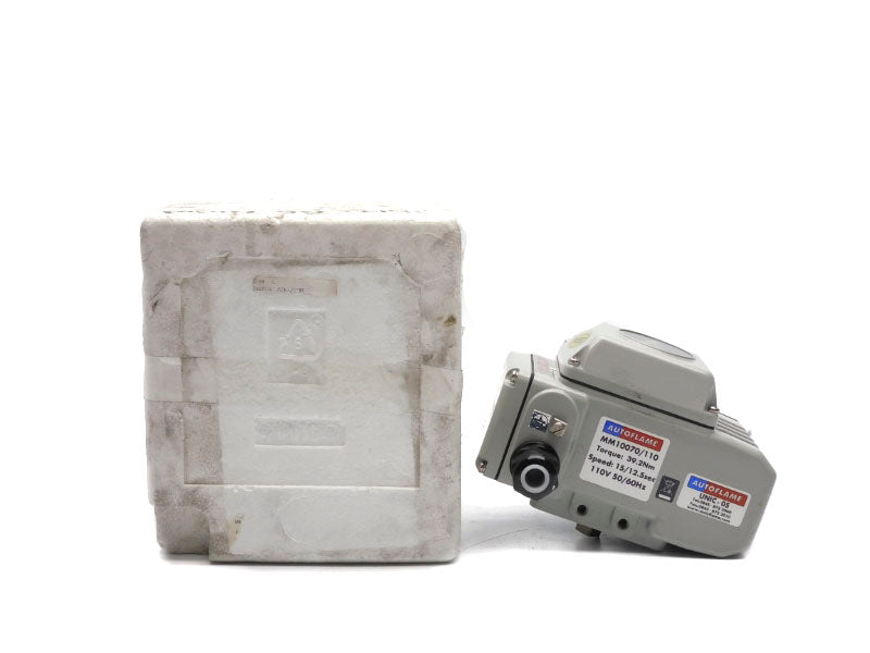 AUTOFLAME MM10070/110 UNIC-05 110V NSMP