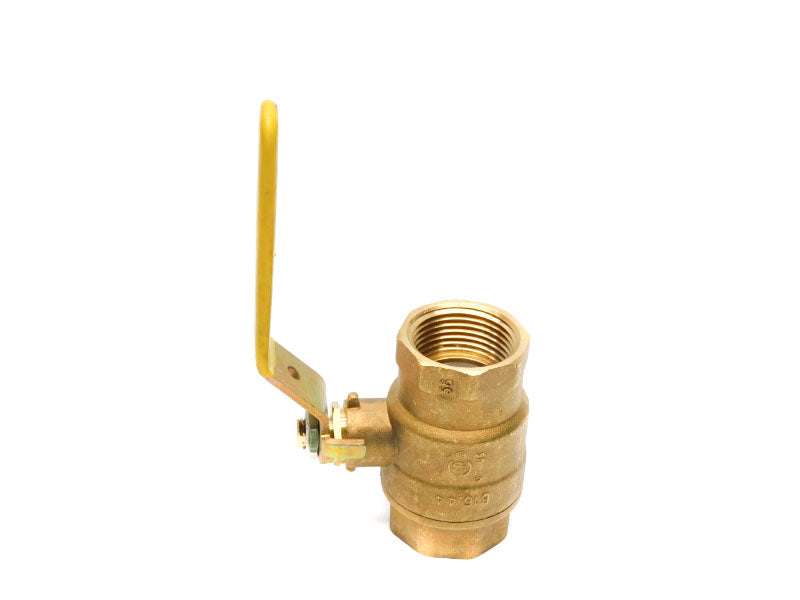 WATTS FBV-4 1" NSNP