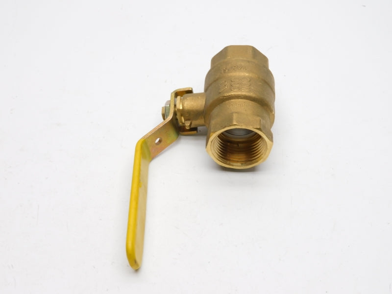 WATTS FBV-4 1" NSNP