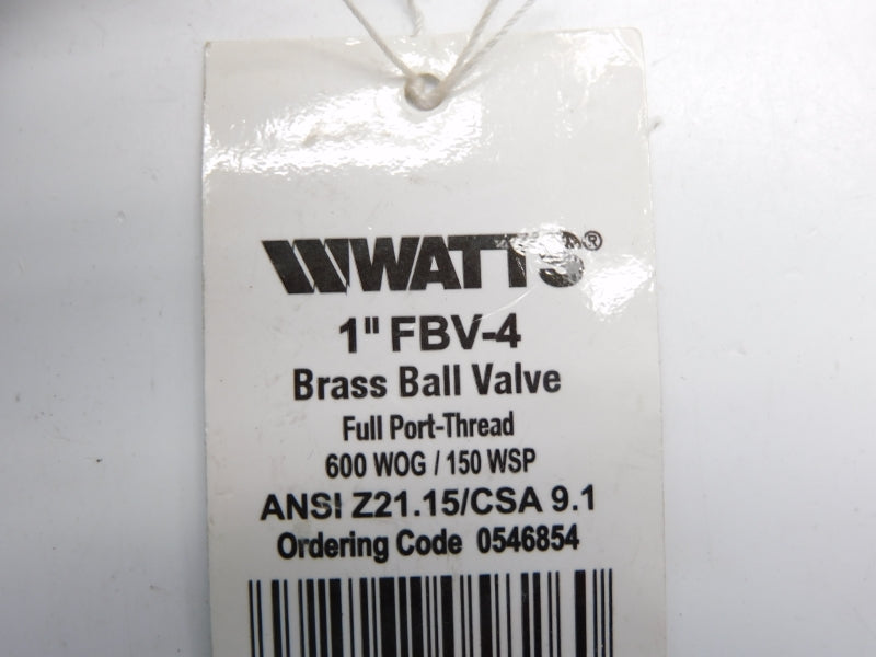 WATTS FBV-4 1" NSNP