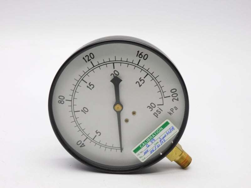 AMETEK P500 30PSI NSMP