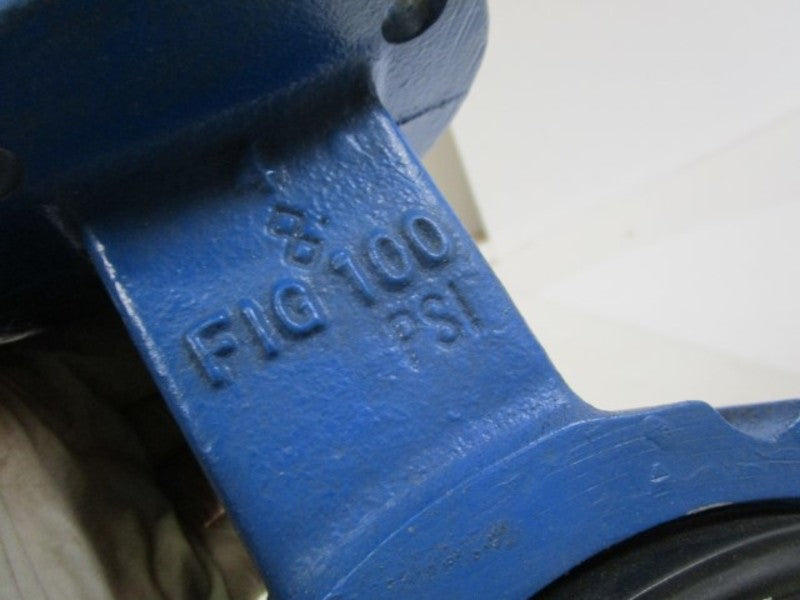 4" FIG 100  NSNP