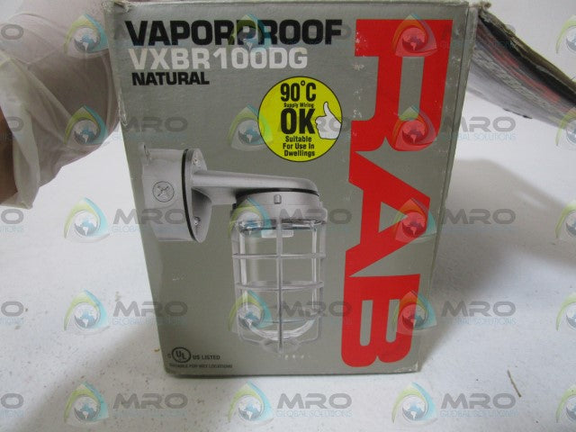 RAB VAPORPROOF W/ GLASS GLOBE VXBR100DG (AS PICTURED) *NEW IN BOX*