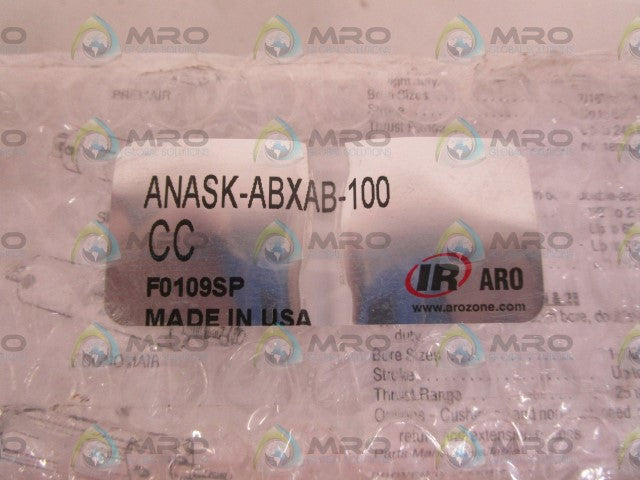 INGERSOLL RAND ANASK-ABXAB-100 PNEUMATIC CYLINDER *NEW NO BOX*