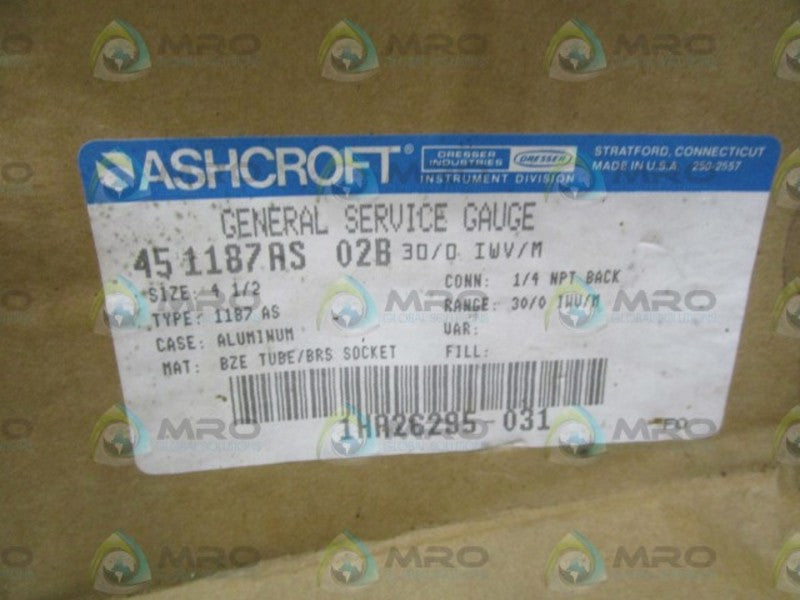 ASHCROFT 451187AS02B-30/0IWV/M NSFS