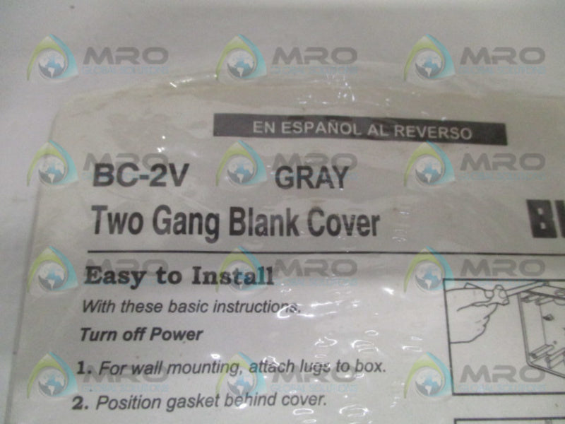 BWF BC-2V TWO GANG BLANK COVER  NSMP