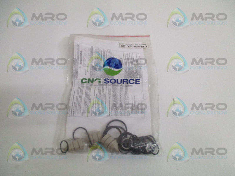 CNG SOURCE KIT-VAL-KTS-BLD REPAIR KIT * NEW IN FACTORY BAG *