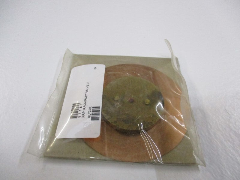 SPIRAX SARCO 57167 NSMP