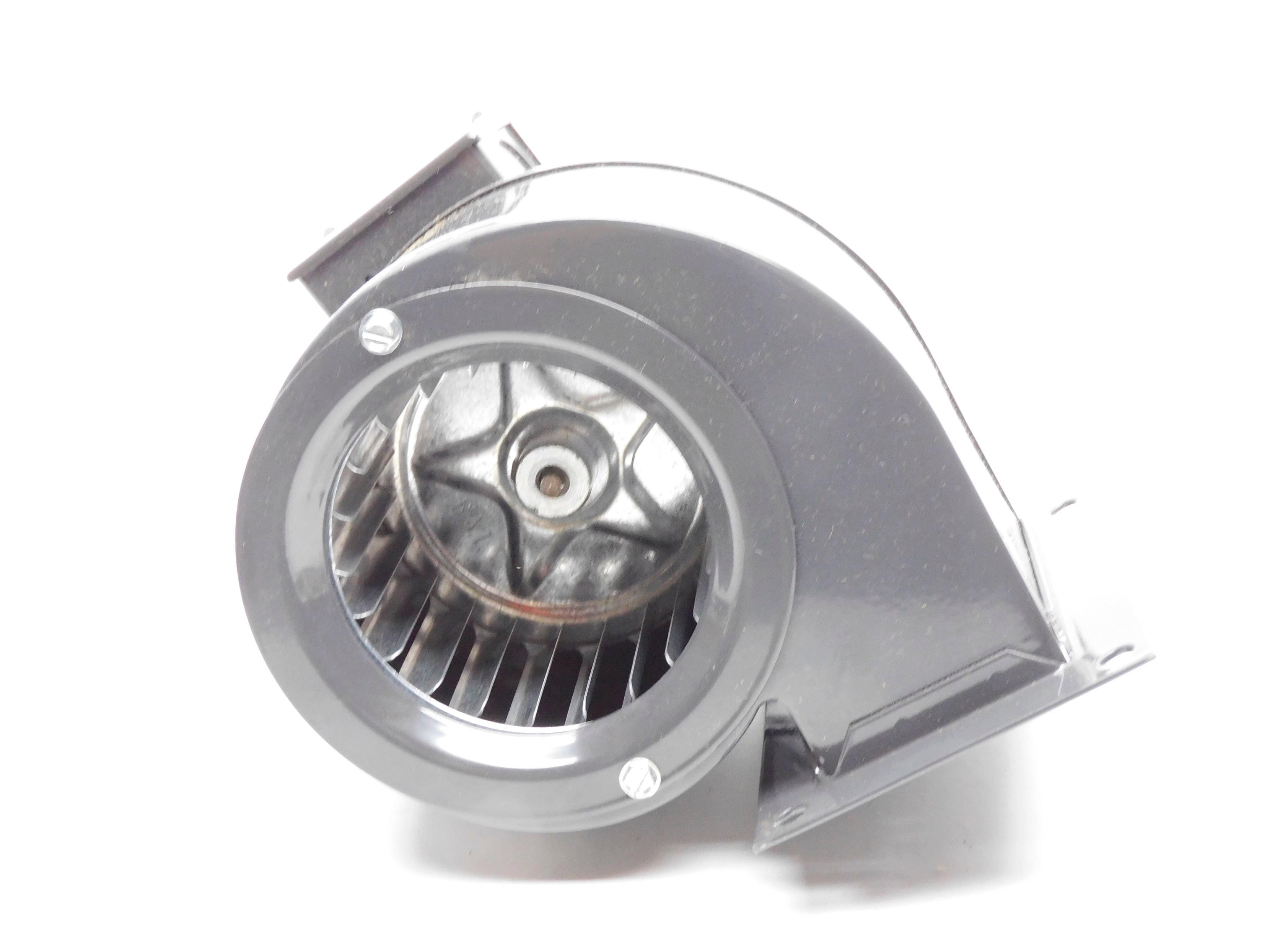 DAYTON 4C446 NSMP