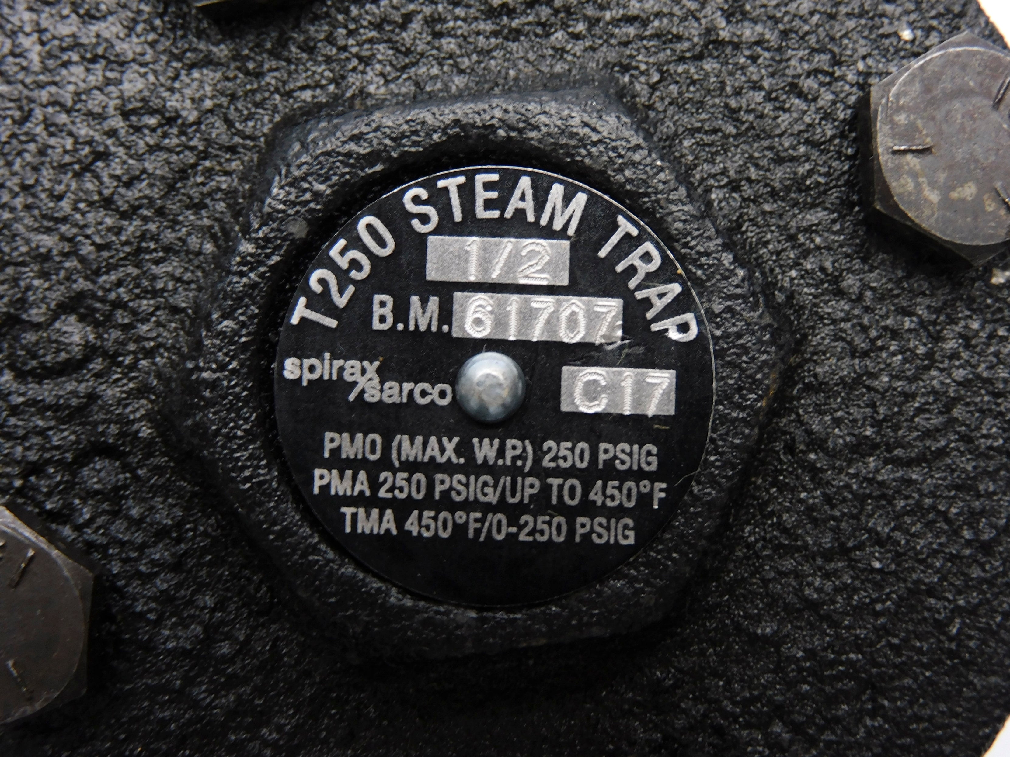 SPIRAX SARCO T250 1/2" 250PSI NSNP