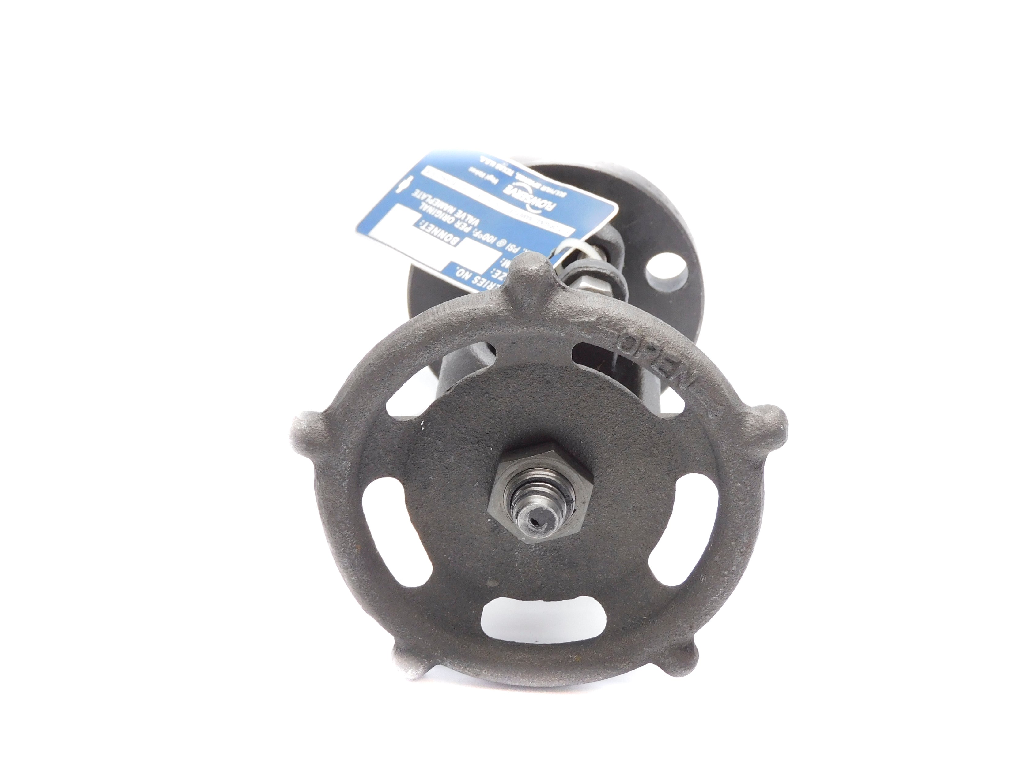 FLOWSERVE 21000 (AS PICTURED) NSNP