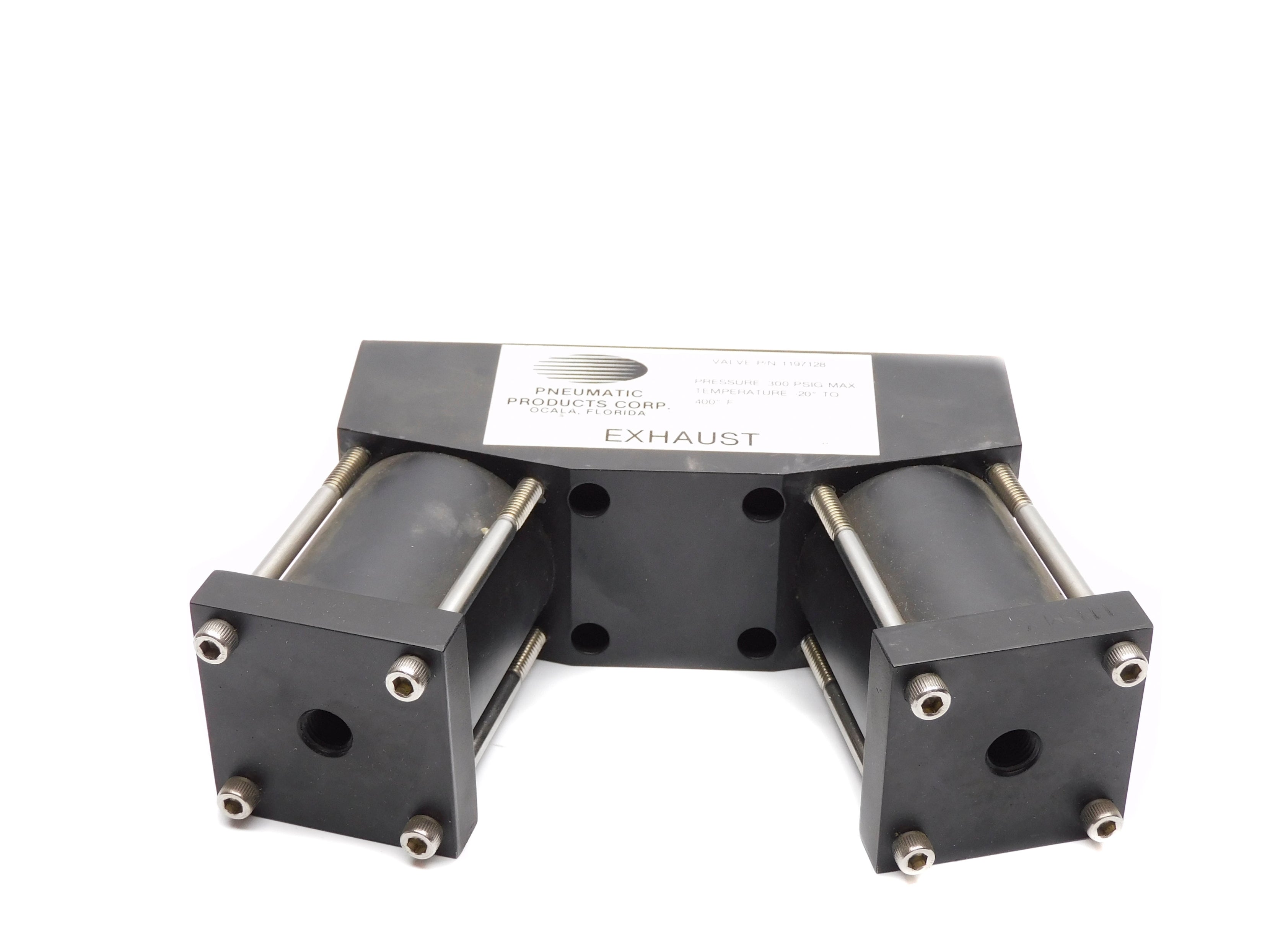 PNEUMATIC PRODUCTS 1197128 300PSIG NSNP