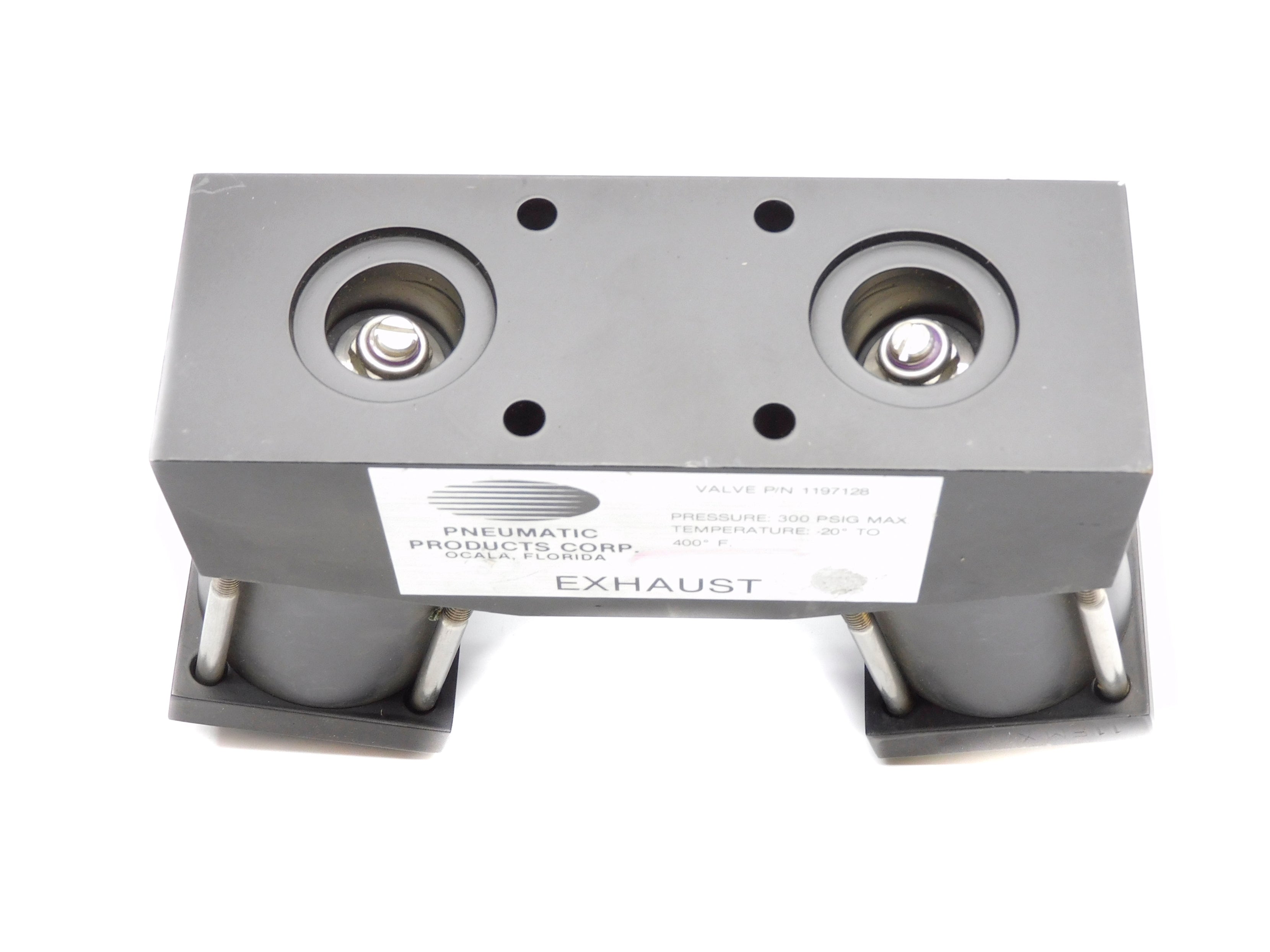 PNEUMATIC PRODUCTS 1197128 300PSIG NSNP