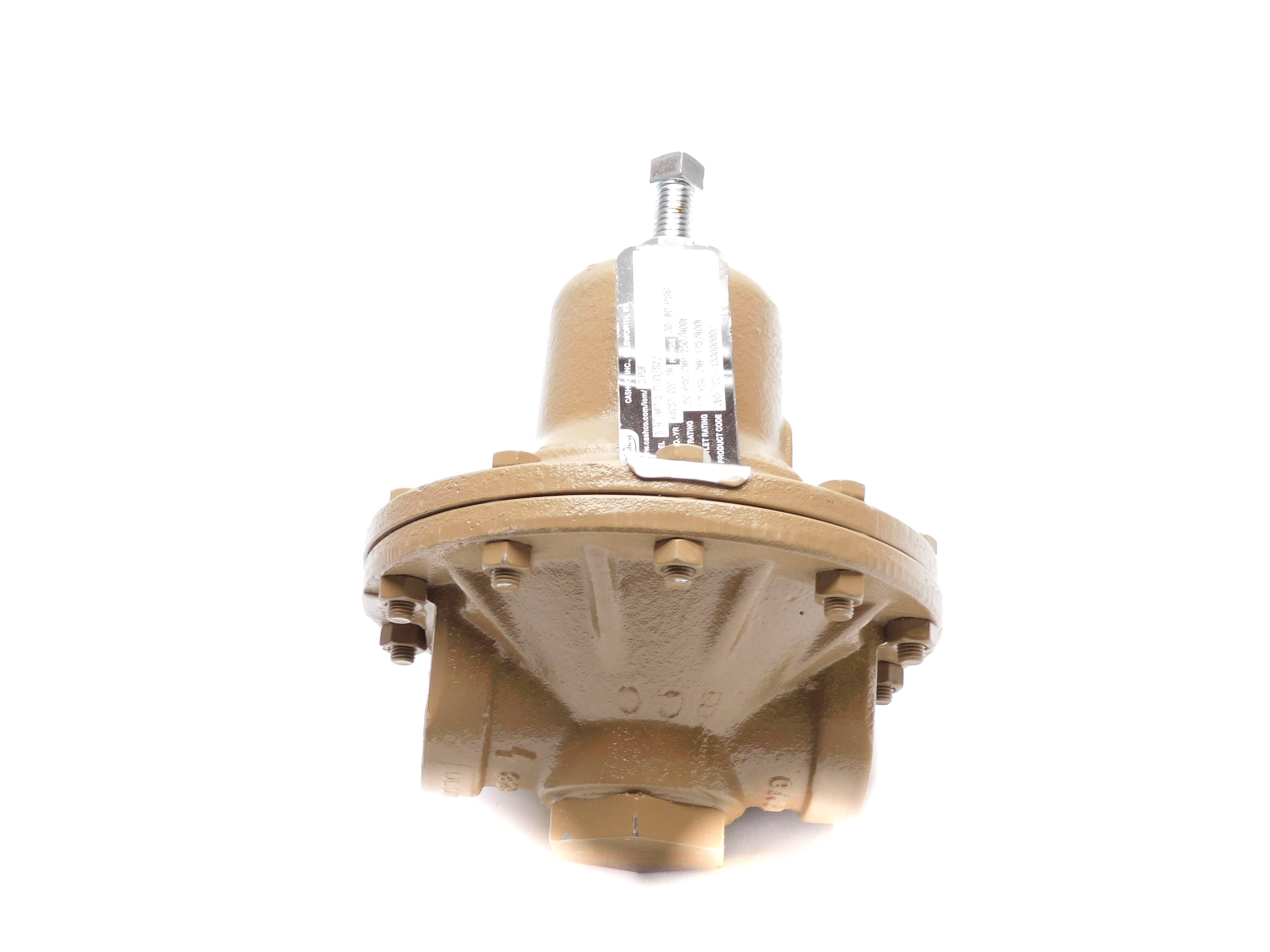 CASHCO 3/4"-NPTDCI/CI/S2/ 30-60PSIG NSNP