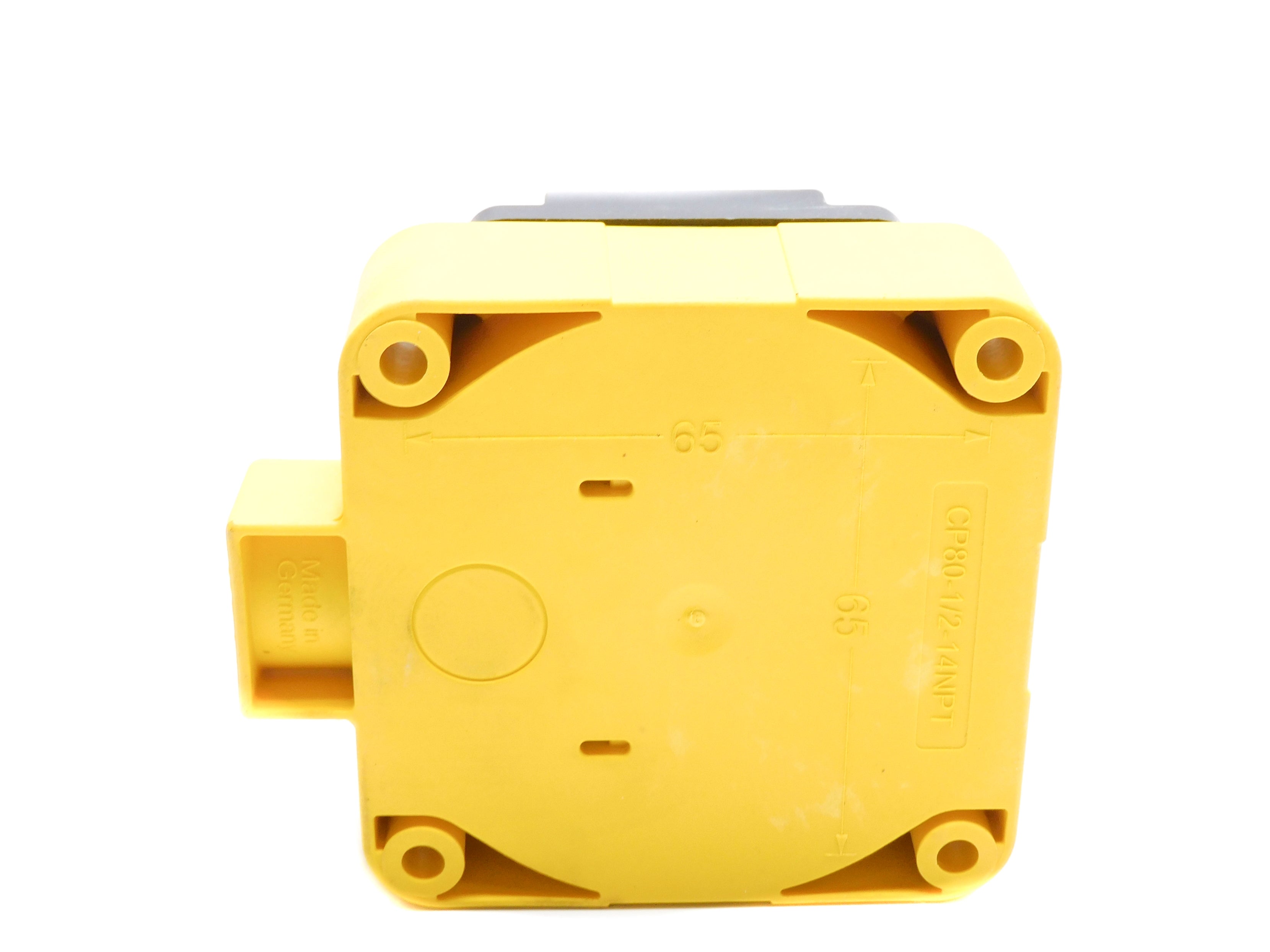 TURCK Ni40-CP80-FZ3X2/S10 NSNP