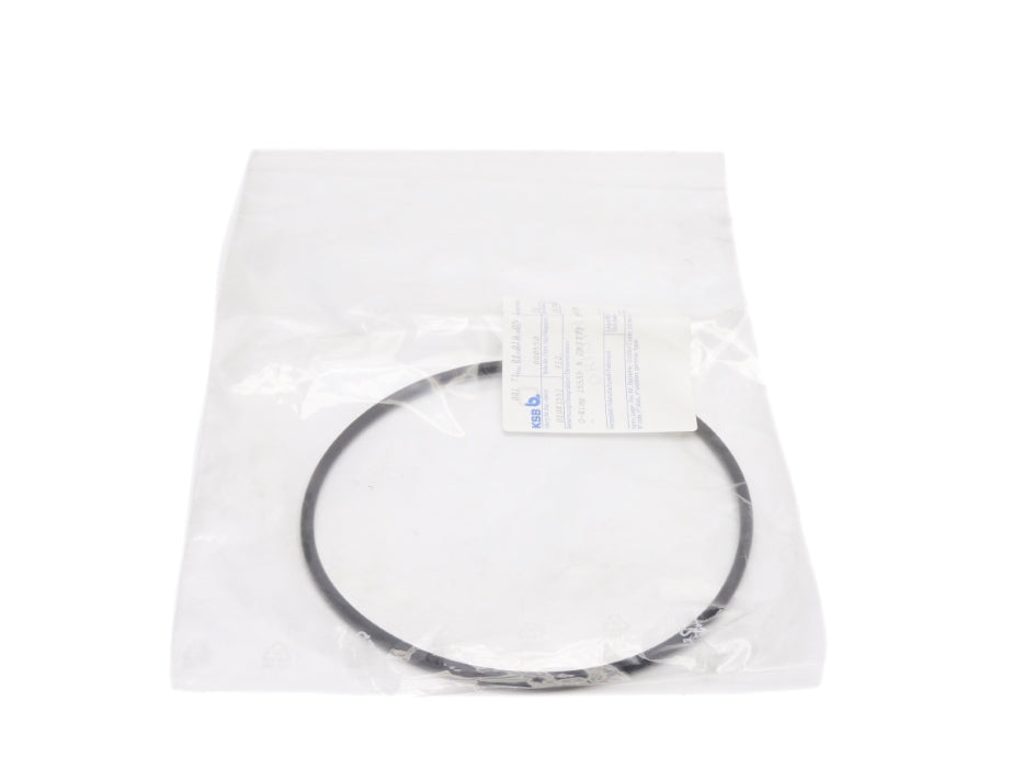KSB B. 01083551 NSMP