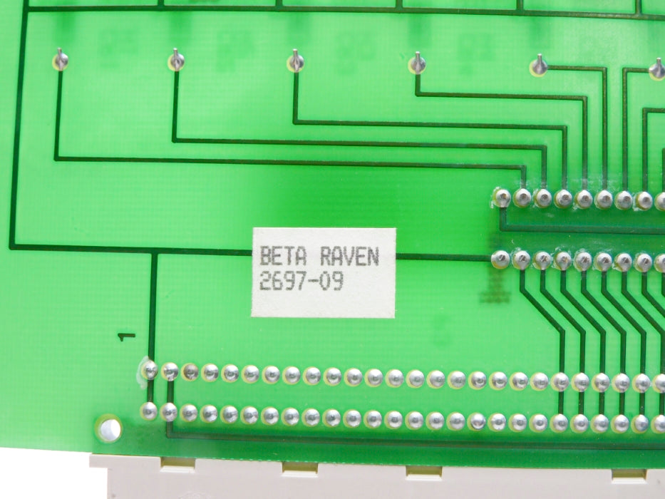 BETA RAVEN 18589 REV. E1 NSNP