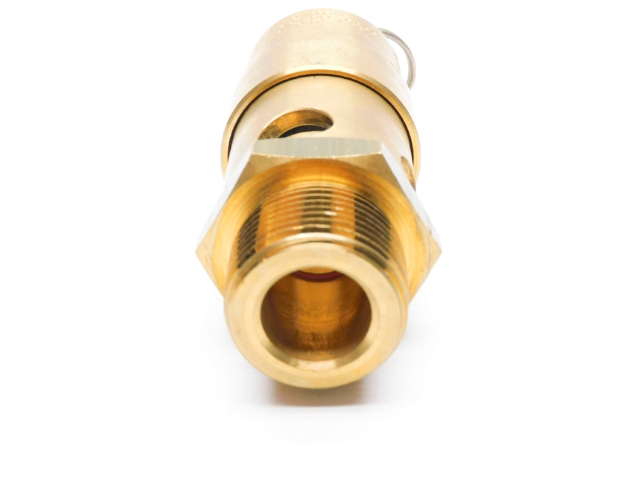 NB SW101 140PSI 1" NSNP