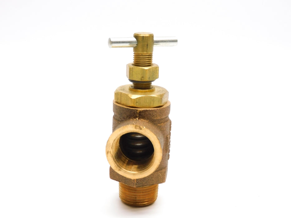DAYTON 3YB63 300-600PSI NSMP