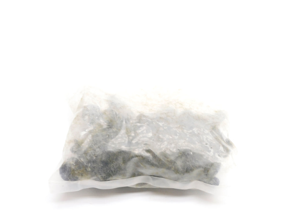 EARNEST 2TJ79 (PKG OF 25) NSMP