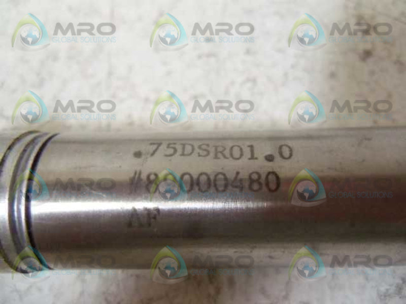 ERMANCO .75DSR01.0 PNEUMATIC CYLINDER  NSNP