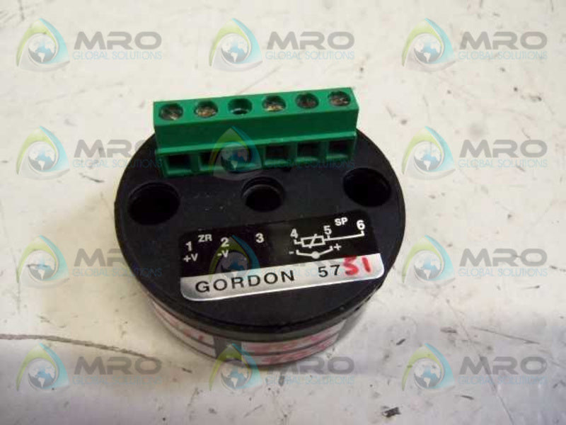 WATLOW GORDON 5751 TEMPERATURE SWITCH  NSMP