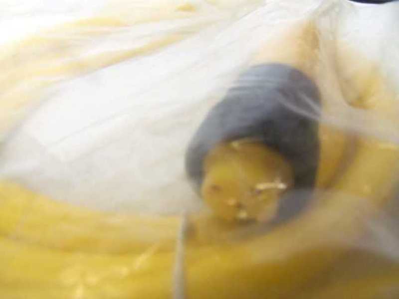 TURCK RK 36-2M CORDSET U2140-2 * NEW IN FACTORY BAG *
