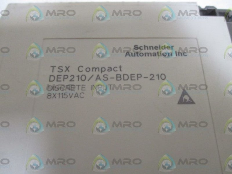 SCHNEIDER AEG DEP210/AS-BDEP-210 DISCRETE INPUT MODULE  NSNP
