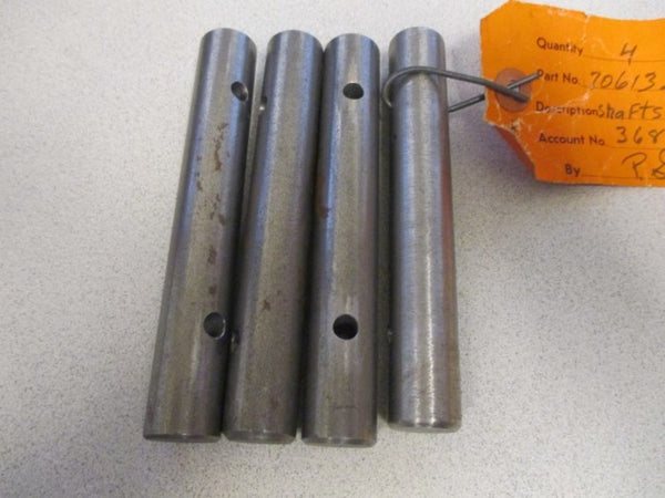 706132  NSNP