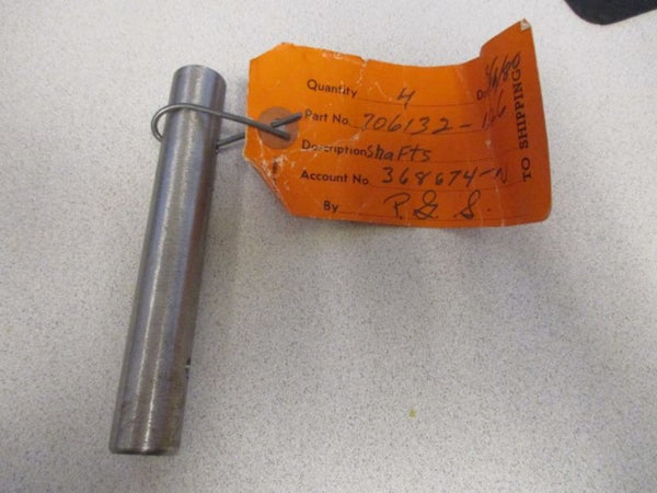 706132  NSNP