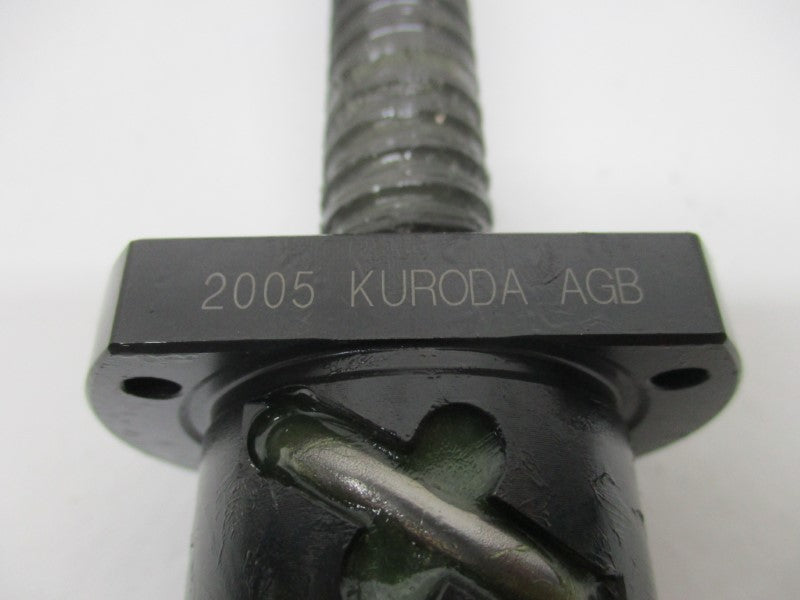 KURODA 2005-AGB NSNP