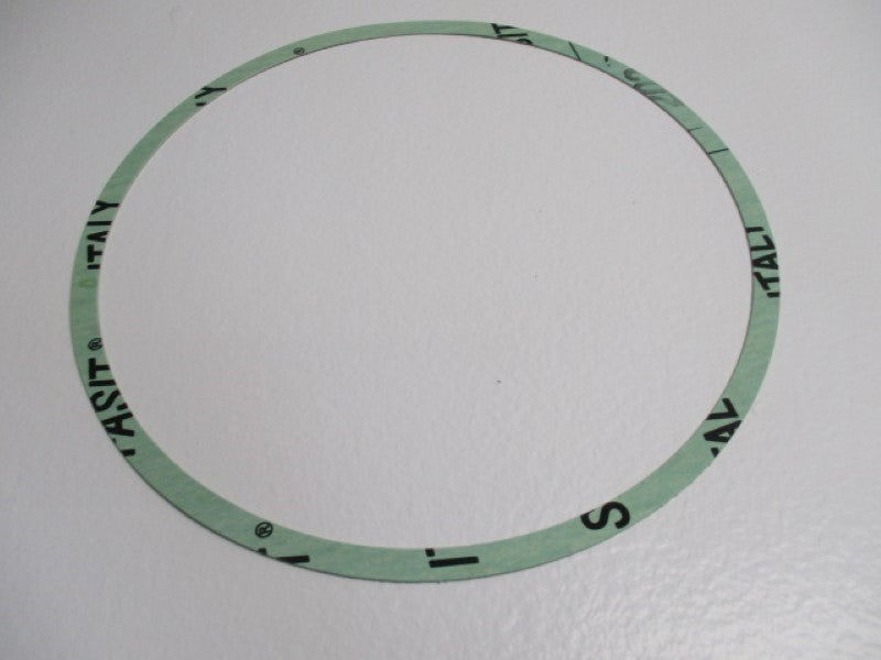 REGENT PUMPS 70005005701 CASING GASKET  NSMP