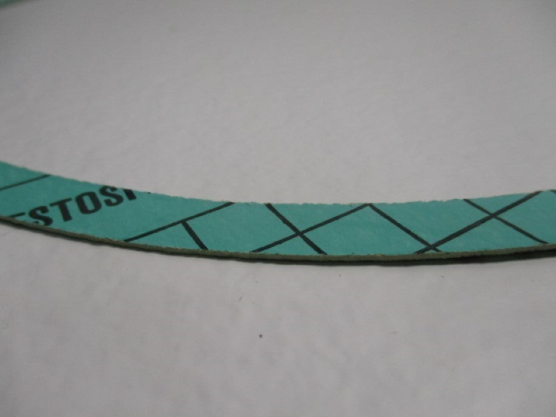 REGENT PUMPS 70005005701 CASING GASKET  NSMP