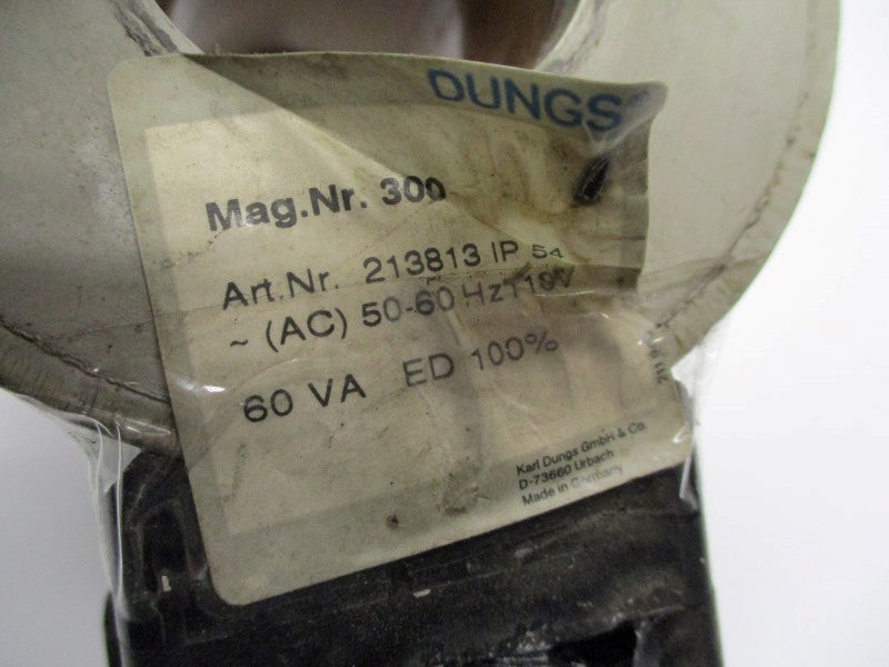 DUNGS 213813 110V UNMP