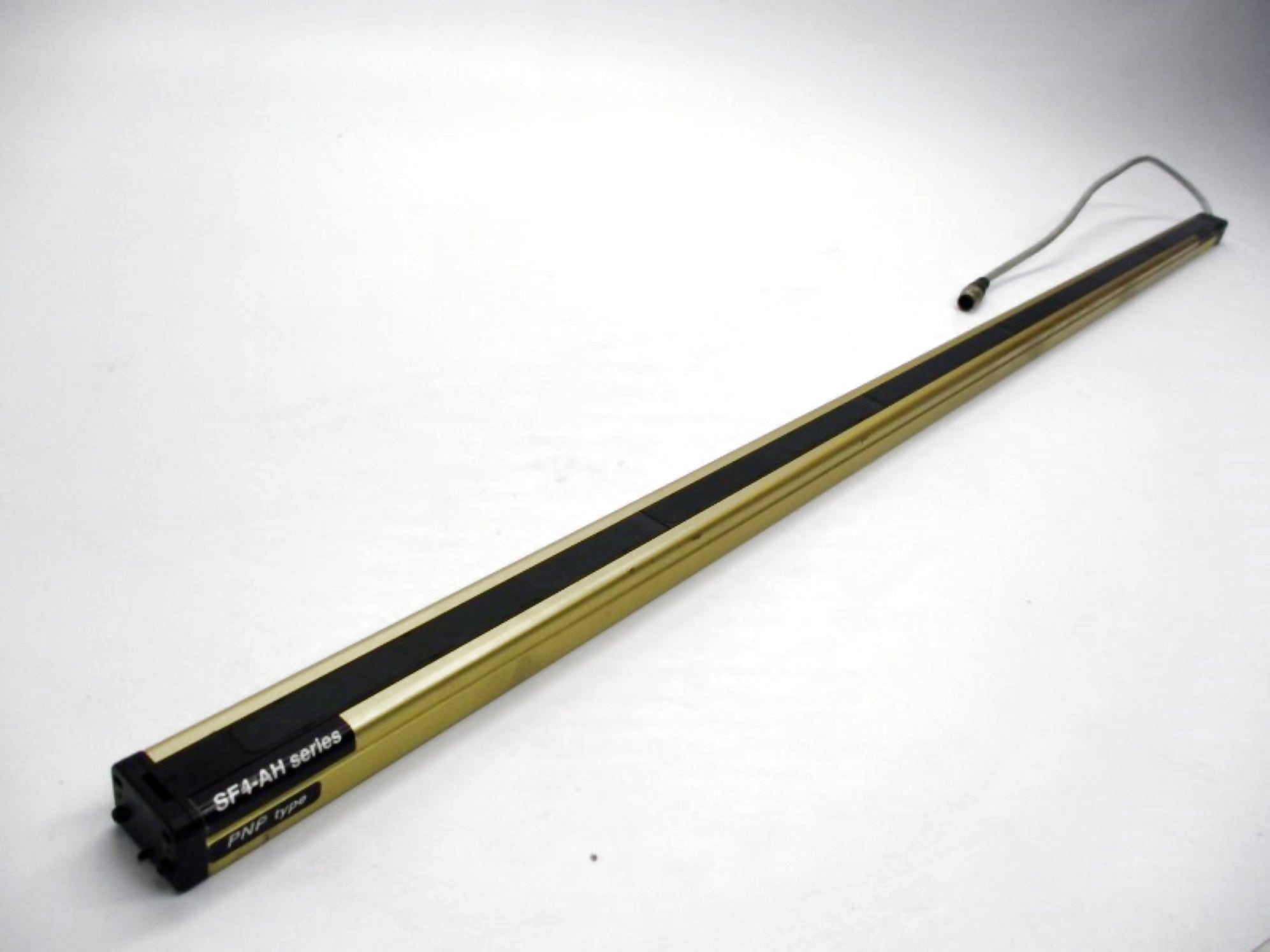 SUNX SF4-AH48-T D 24VDC NSNP