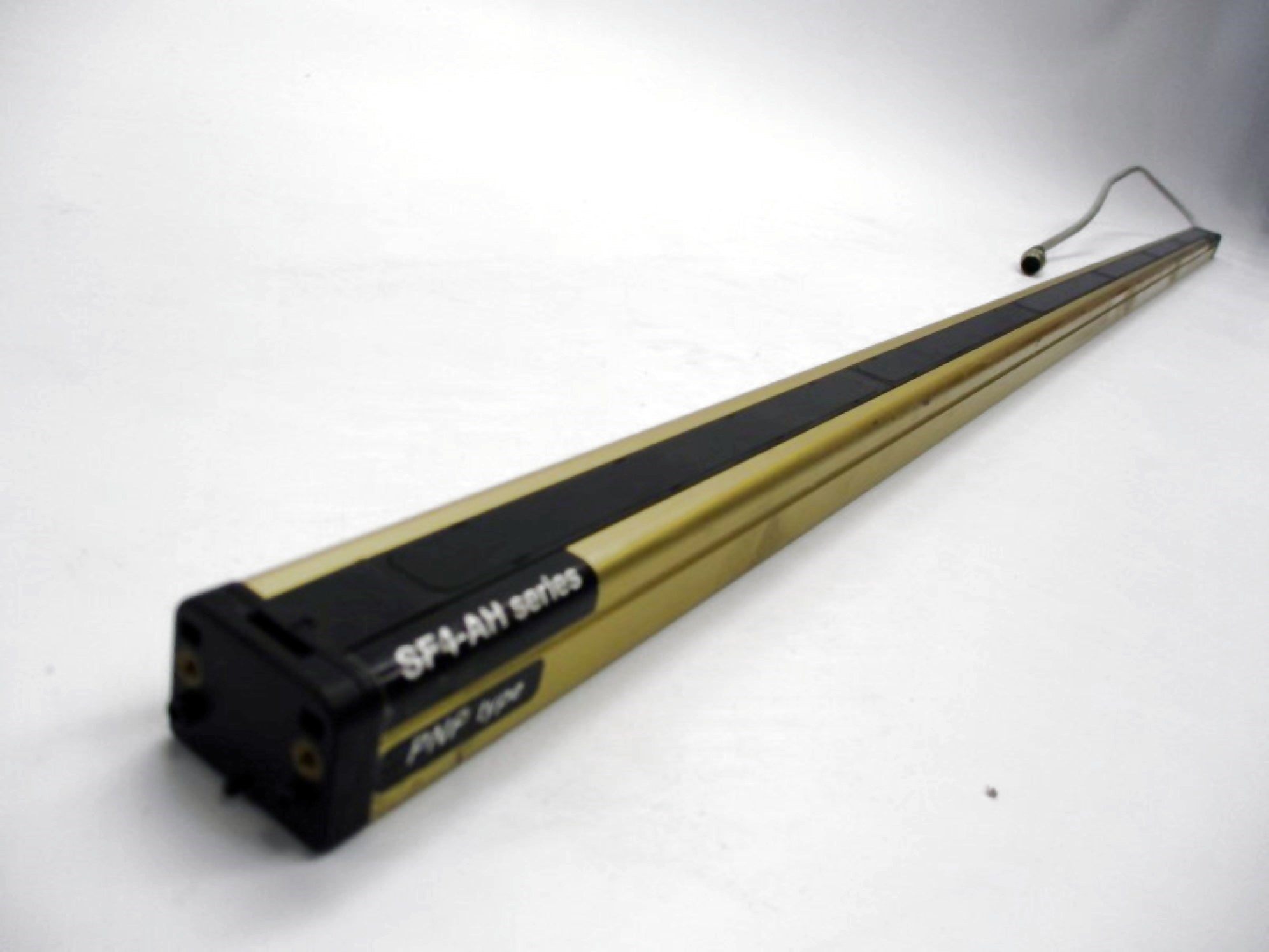 SUNX SF4-AH48-T D 24VDC NSNP