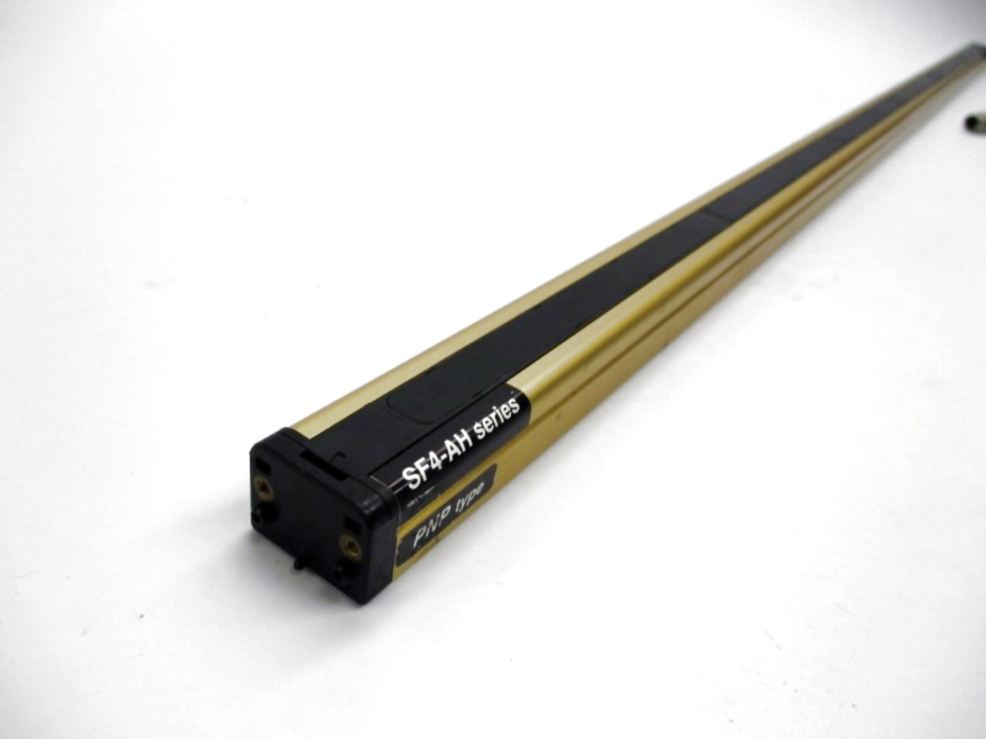 SUNX SF4-AH48-T P 24VDC NSNP