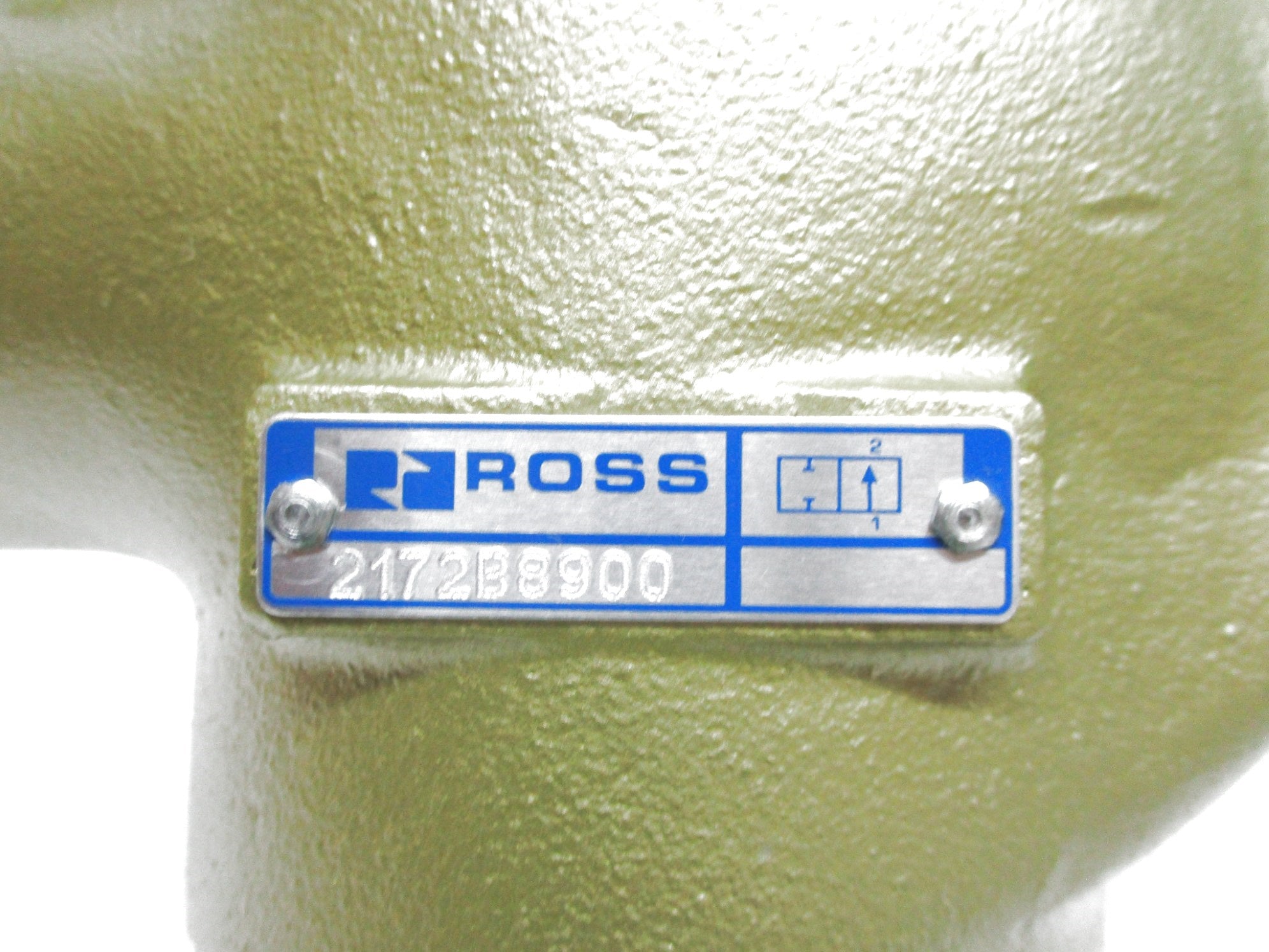 ROSS 2172B8900 24VDC NSMP