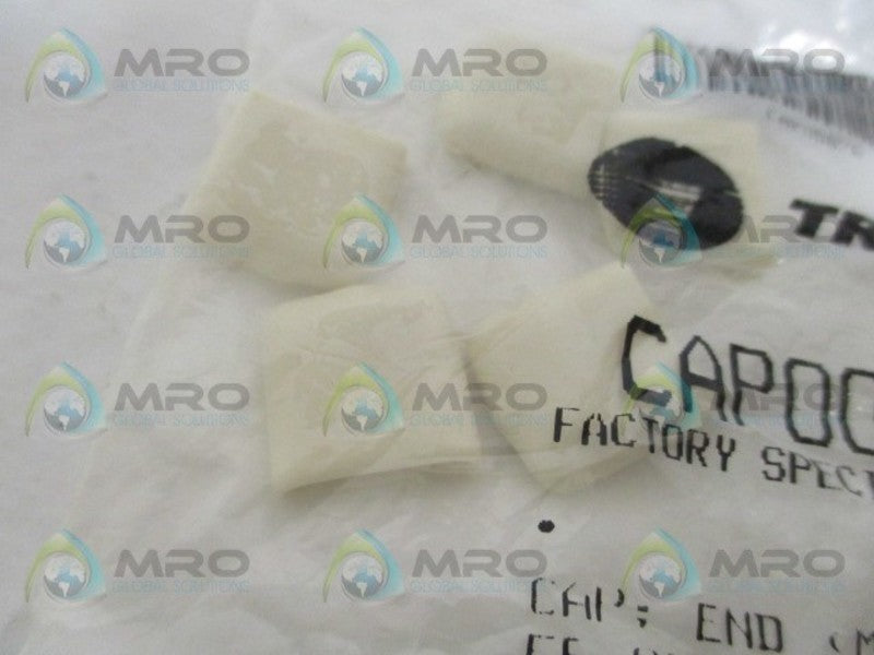 TRANE CAP00876 END CAP (PKG OF 10) *NEW IN FACTORY BAG*