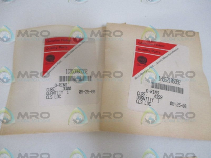 FISHER R1061X00302 REPAIR KIT NSMP