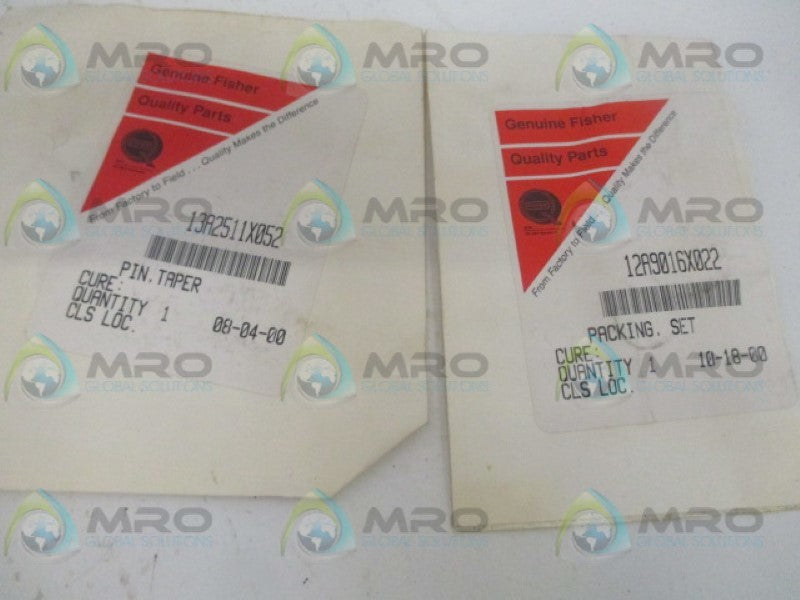 FISHER RV100X00C22 REPAIR KIT NSMP