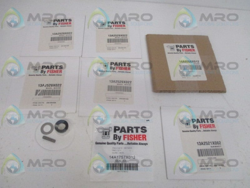FISHER RV100X00M22 REPAIR KIT NSMP