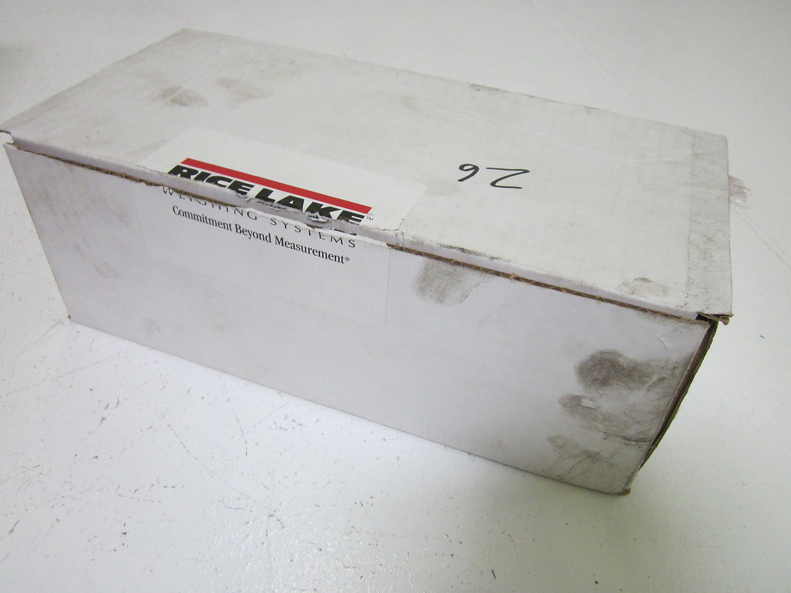 RICELAKE RLPWM16-300KG *USED*