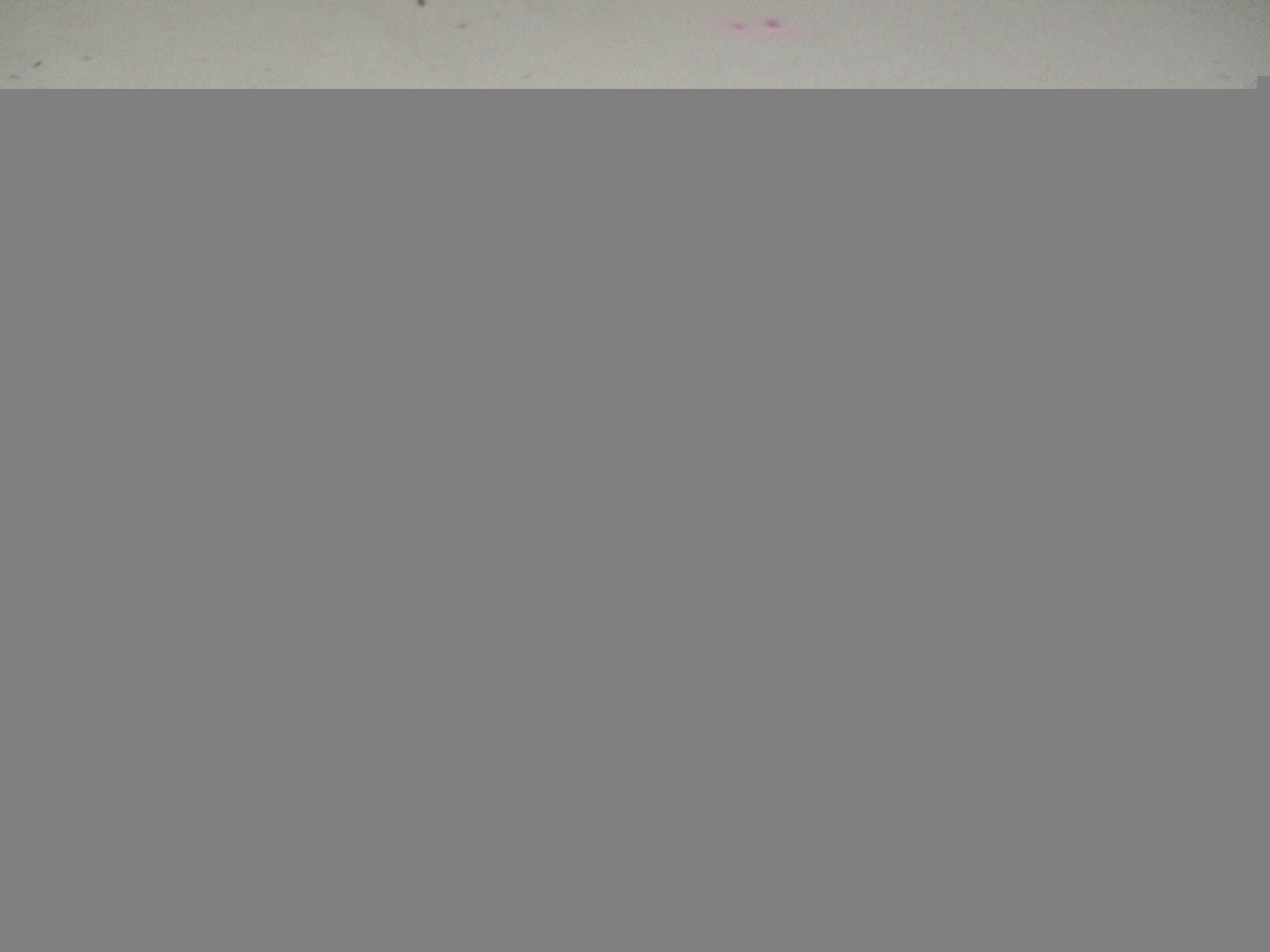 SPEEDAIRE 6ZC53B PNEUMATIC CYLINDER *USED*